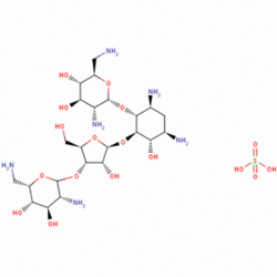 硫酸新霉素 氨基糖苷类