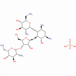 硫酸新霉素 氨基糖苷類