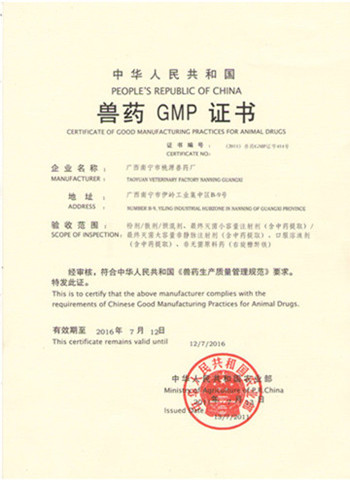 GMP证书