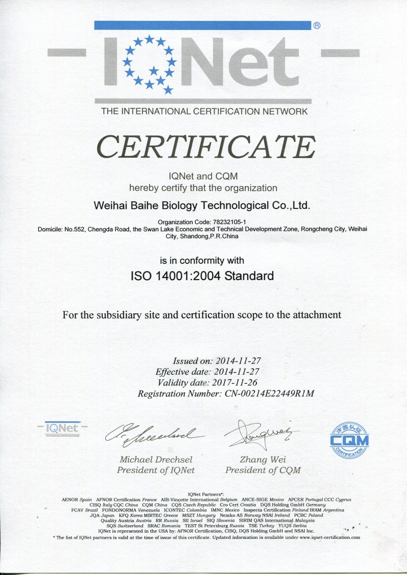 ISO14001:l2004