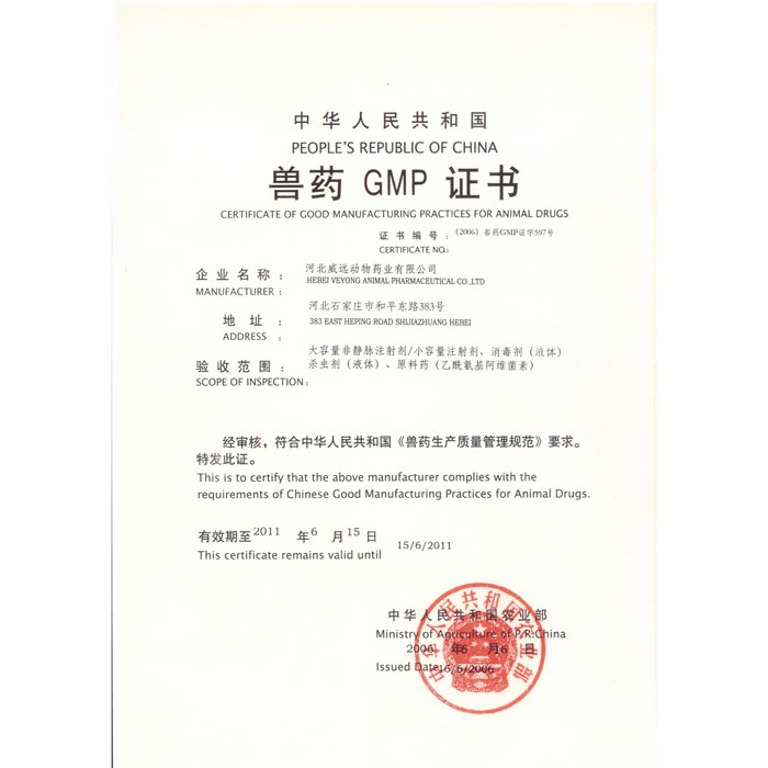 GMP 证书 2