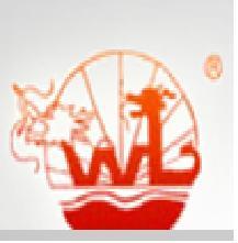 宁波王龙科技股份有限公司