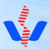 江西盛伟科技股份有限公司