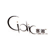 江苏赛迪进出口有限公司