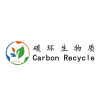 南京碳环生物质能源有限公司