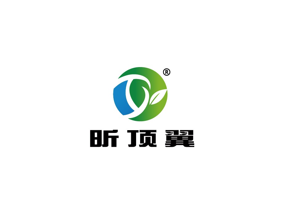 上海顶翼环保科技有限公司