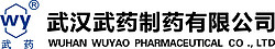 武汉武药制药有限公司