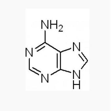 腺嘌呤 Adenine
