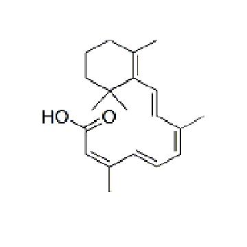 异维甲酸 Isotretinoin (13-CIS-RETINOIC ACID)