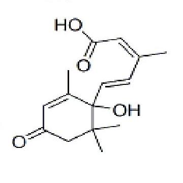 (+)-脱落酸   (S)-(+)-Abscisic Acid