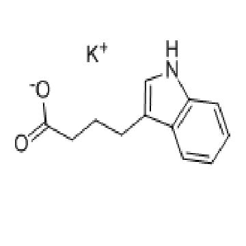 3-吲哚丁酸钾 3-indole butyric acid  potassium salt ( K-IBA ) 
