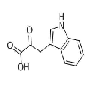 3-(3-吲哚基)-2-氧代丙酸 3-Indole-pyruvic acid     