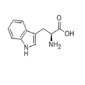 L-色氨酸 L-Tryptophan