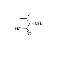 L-缬氨酸 L-Valine