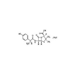 Amoxycillin