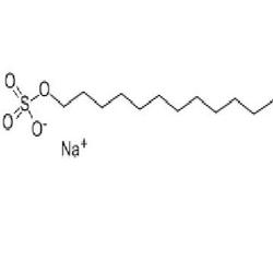 十二烷基硫酸钠  Sodium dodecyl sulfate