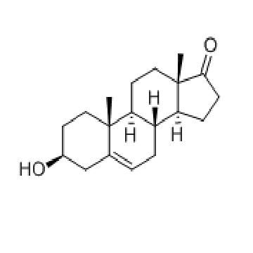 去氢表雄酮  Dehydroepiandrosterone
