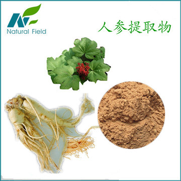 人参提取物