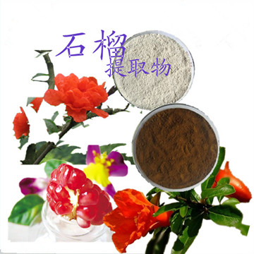 石榴皮提取物
