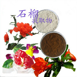 石榴皮提取物