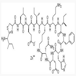 桿菌肽鋅
