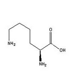 L-赖氨酸