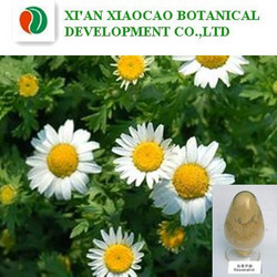 小白菊提取物