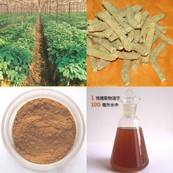  西洋參多糖