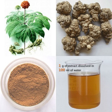 三七根提取物 药典标准 CP2020