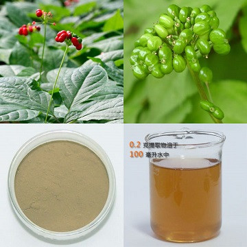  人参果提取物