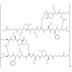 多粘菌素B