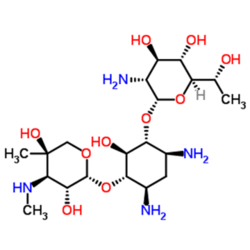 G418 硫酸盐