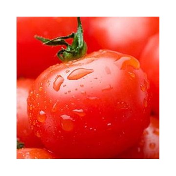 番茄红素，CAS：502-65-8，W-胡萝卜素，西红柿提取物，番茄提取物5%,番茄提取物10%，