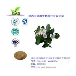 有生產(chǎn)許可證廠家供應(yīng)山楂葉牡荊素2%