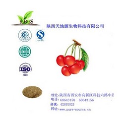 厂家现货供应山楂叶提取物