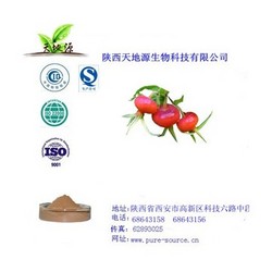 有生产许可证厂家供应玫瑰果提取物VC5%