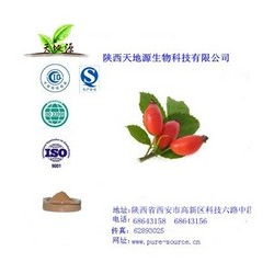 有生产许可证厂家供应玫瑰果提取物多酚UV检测