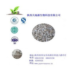 白芸豆提取物菜豆蛋白1%-3%