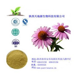 紫錐菊多酚提取物