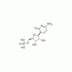 胞苷酸