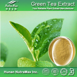绿茶提取物多酚/EGCG/茶氨酸