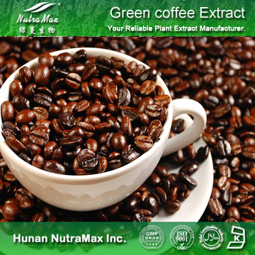 绿咖啡豆提取物绿原酸单酸10%～50%