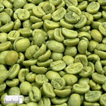 绿咖啡豆提取物，绿咖啡豆绿原酸5% 10% 25% 50% 60%