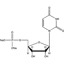 5'-尿苷酸二钠