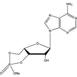 环磷腺苷钠盐