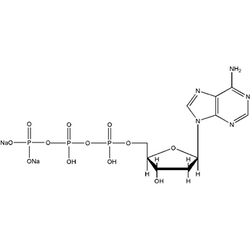 三磷酸脱氧腺苷二钠