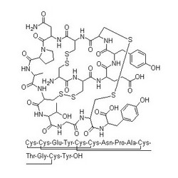 Linaclotide(利那洛肽)