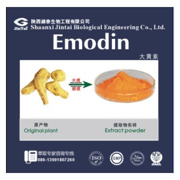 大黄素