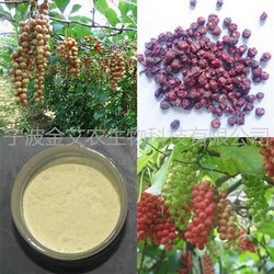 五味子醇甲2-3%HPLC， Schisandrin