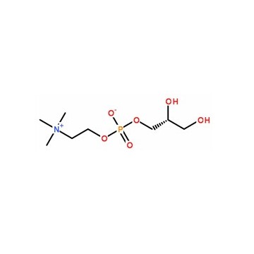 甘磷酰胆碱